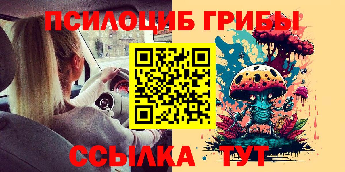 Псилоцибиновые грибы мицелий  Вход с VPN  Нижнекамск 